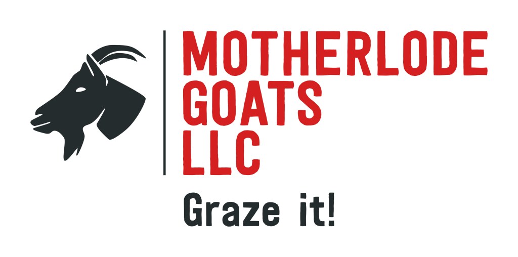 Motherlode Goats LLC Graze It! Offering goat rental services in Tuolumne and Calaveras counties.